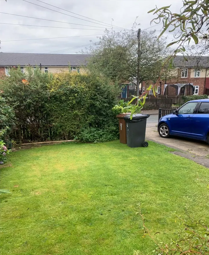 After: clear front lawn with bins by the drive