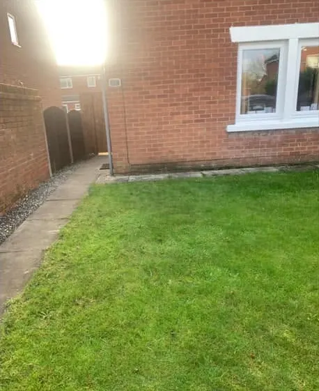 After: a clear green lawn beside a red-brick house