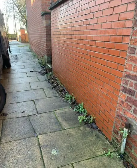 After: a clear paved path along a brick wall